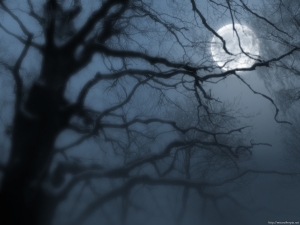 moon_tree